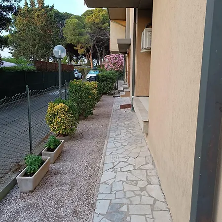 Cs Apartment